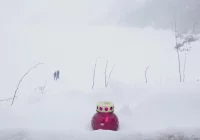 Lawiny w Tatrach: jedna osoba nie żyje - zdjęcie główne