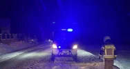 Kierująca trafiła do szpitala, druhowie zajęli się... pieskami - zdjęcie 2