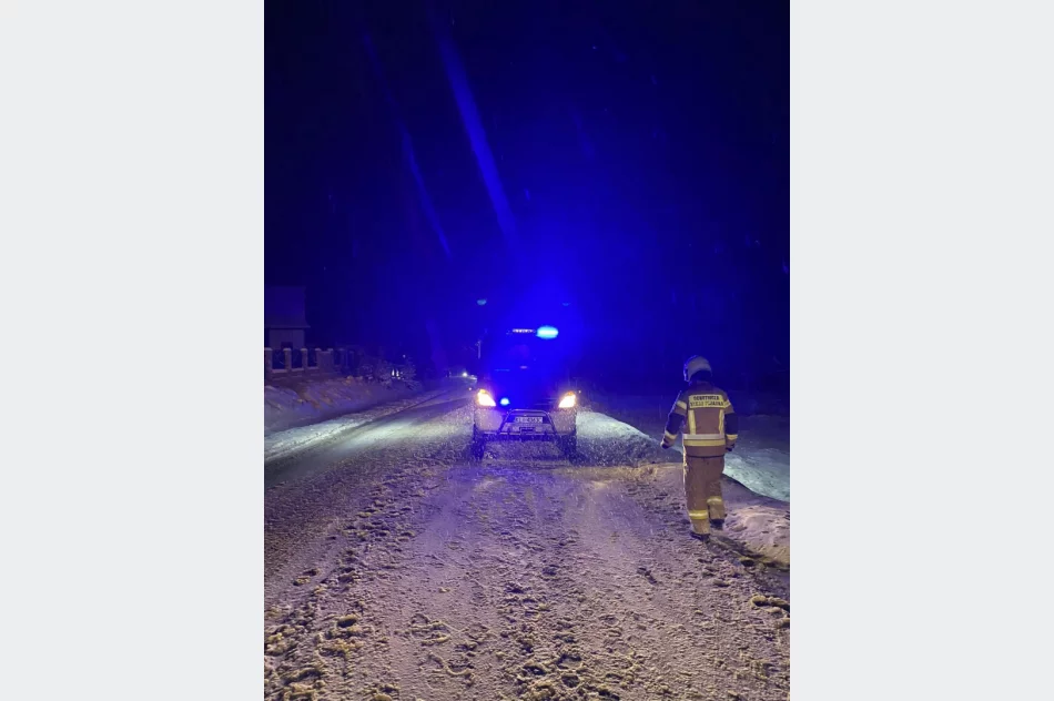 Kierująca trafiła do szpitala, druhowie zajęli się... pieskami - zdjęcie 2