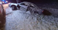 Kierująca trafiła do szpitala, druhowie zajęli się... pieskami - zdjęcie 3