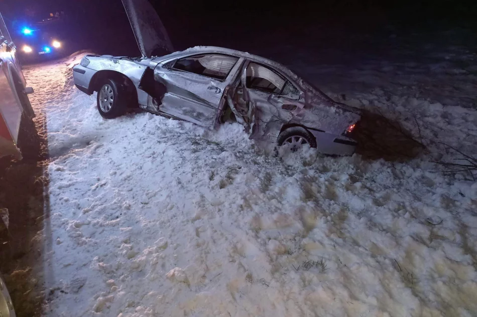 Kierująca trafiła do szpitala, druhowie zajęli się... pieskami - zdjęcie 3