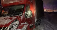 Kierująca trafiła do szpitala, druhowie zajęli się... pieskami - zdjęcie 4