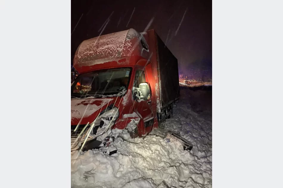 Kierująca trafiła do szpitala, druhowie zajęli się... pieskami - zdjęcie 4