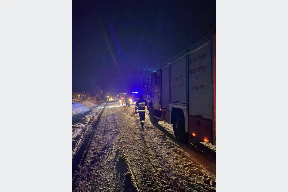 Kierująca trafiła do szpitala, druhowie zajęli się... pieskami - zdjęcie 5