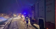 Kierująca trafiła do szpitala, druhowie zajęli się... pieskami - zdjęcie 5