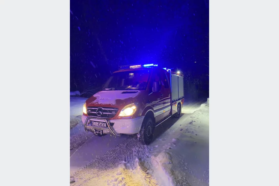 Kierująca trafiła do szpitala, druhowie zajęli się... pieskami - zdjęcie 6