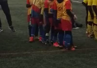 Skrzaty Limanovii szlifowały piłkarskie talenty w Sosnowcu - zdjęcie główne