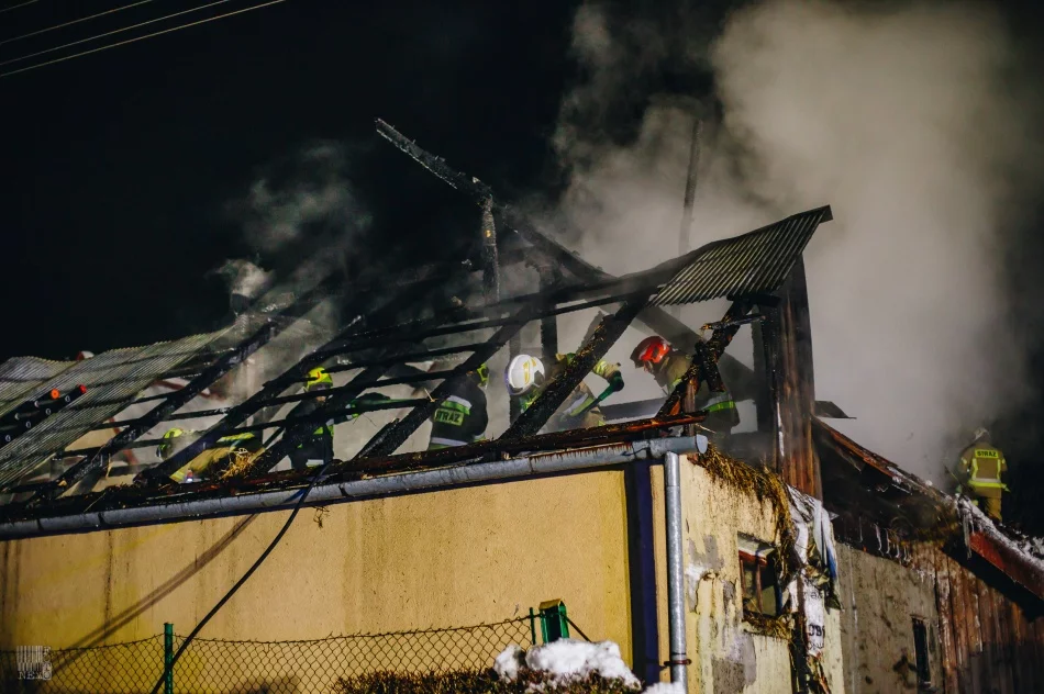 Z ogniem walczyło 43 strażaków - zdjęcie 7