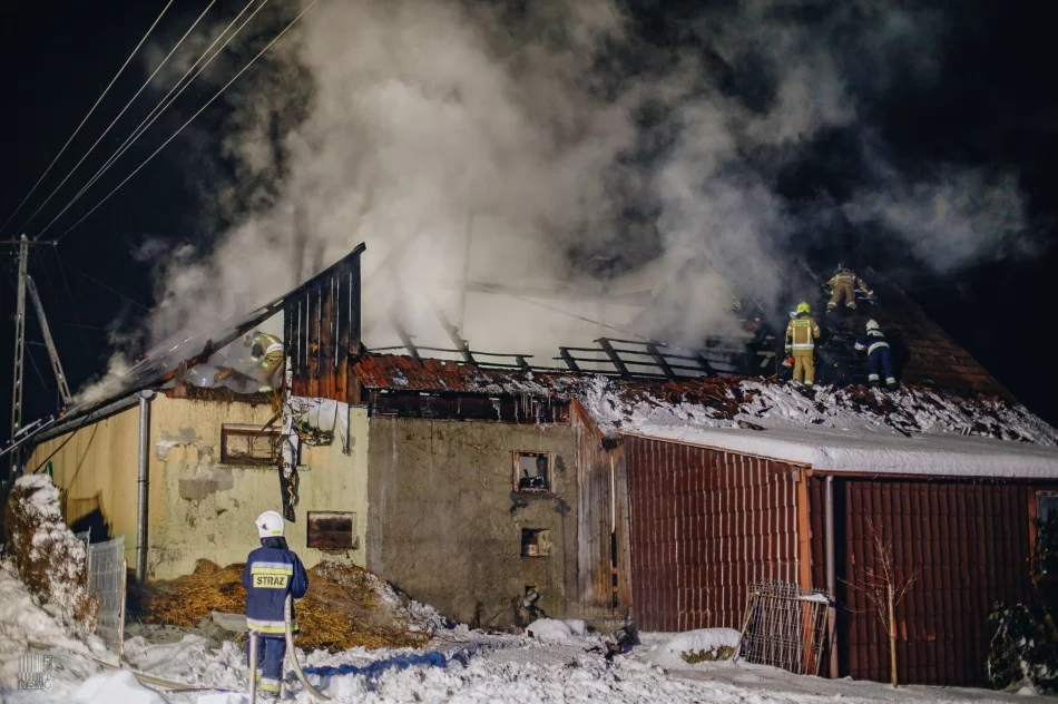 Z ogniem walczyło 43 strażaków - zdjęcie 10