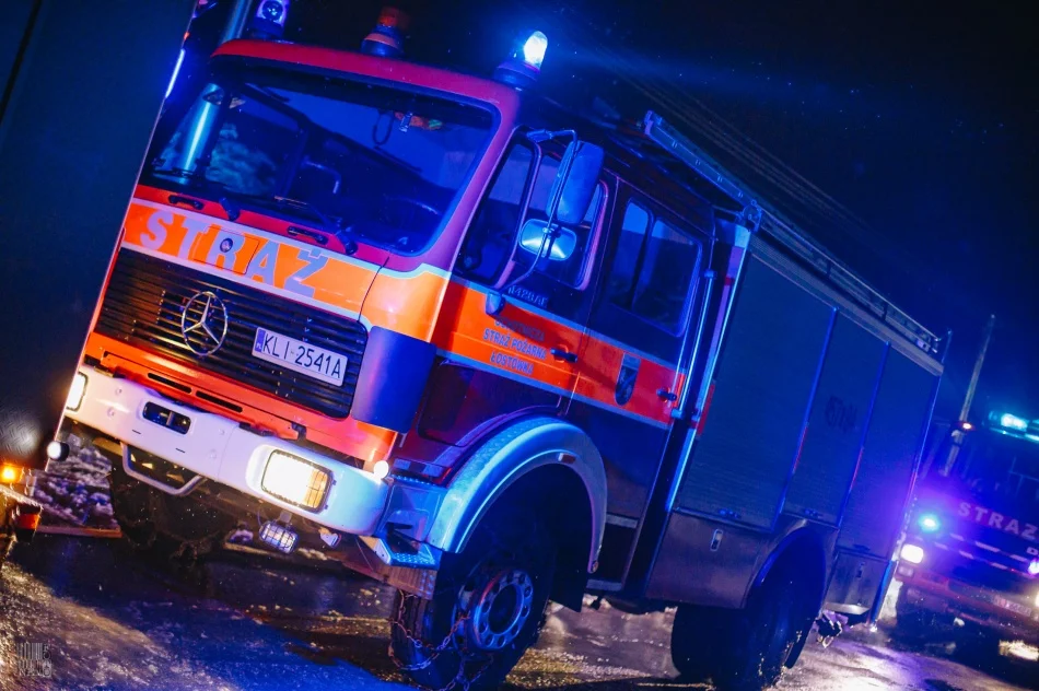 Z ogniem walczyło 43 strażaków - zdjęcie 15