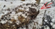 Znaleziono 7 niewybuchów. Zneutralizowano je w kamieniołomie - zdjęcie 4