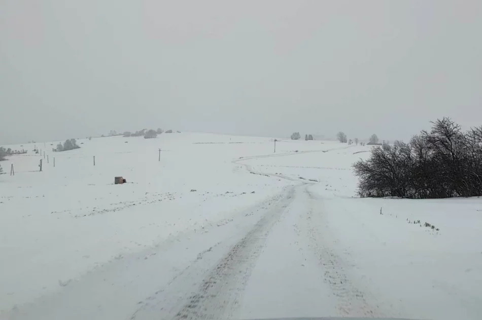 Drogowcy śpią czy samorządy oszczędzają? - zdjęcie 11