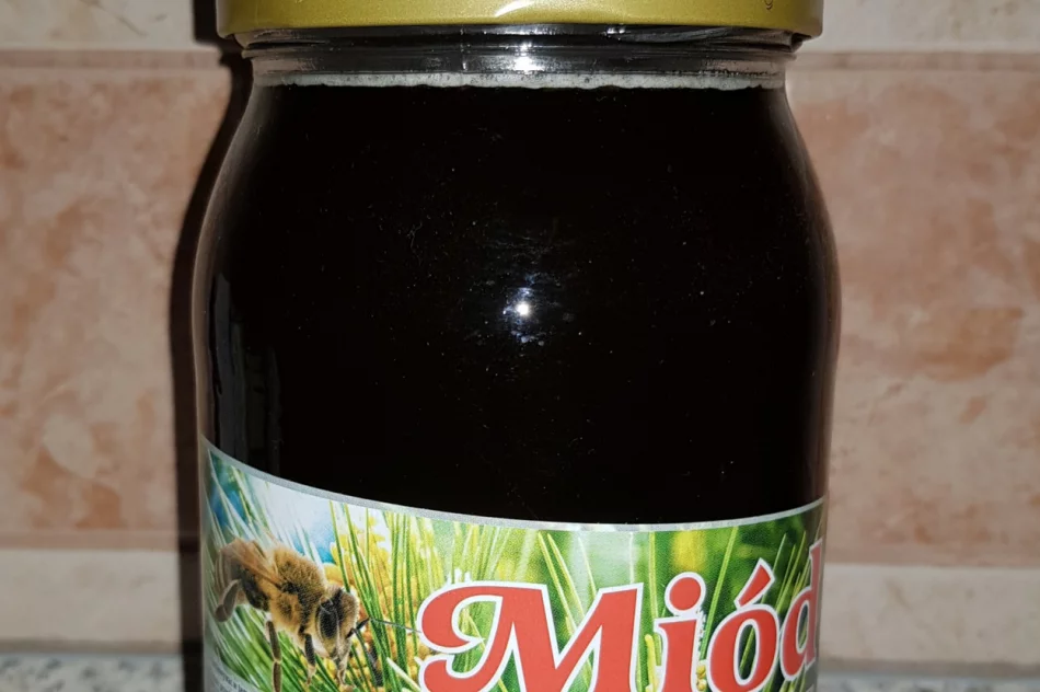 Miód spadziowy 100% - zdjęcie 1