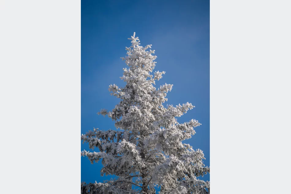 Inscenizacja Historyczna zrzutów na Polankach w Szczawie (2022) - zdjęcie 5