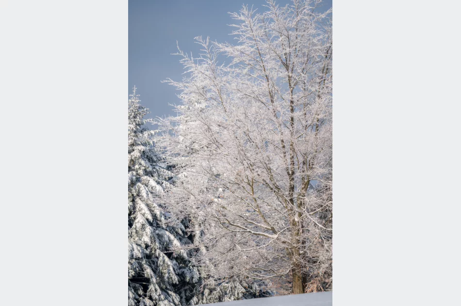 Inscenizacja Historyczna zrzutów na Polankach w Szczawie (2022) - zdjęcie 6