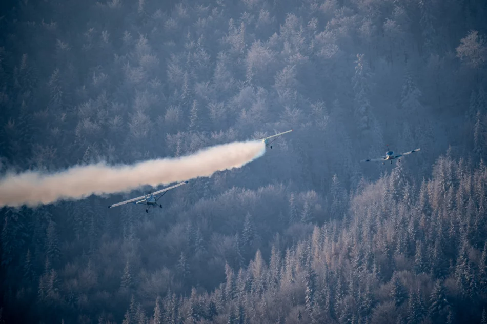 Inscenizacja Historyczna zrzutów na Polankach w Szczawie (2022) - zdjęcie 14