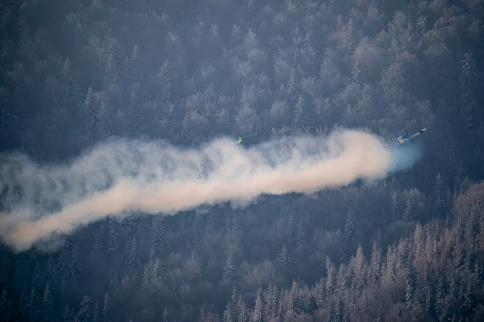 Inscenizacja Historyczna zrzutów na Polankach w Szczawie (2022) - zdjęcie 15