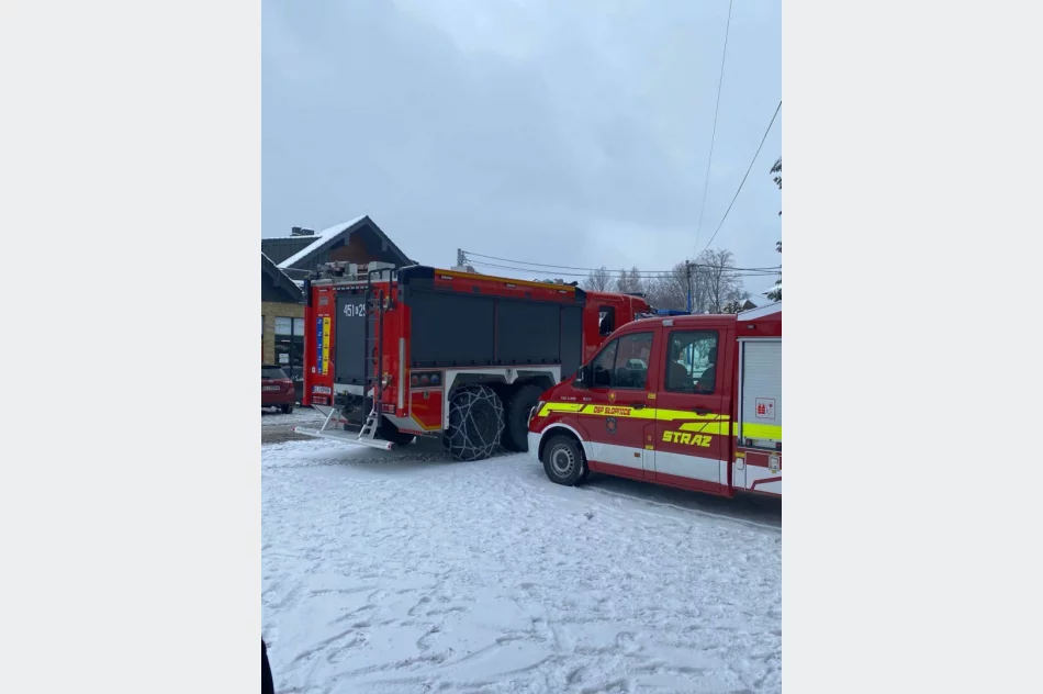 Wspólne ćwiczenia druhów - zdjęcie 2