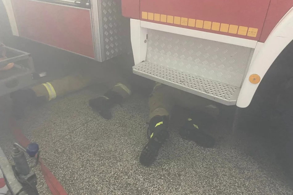 Wspólne ćwiczenia druhów - zdjęcie 11