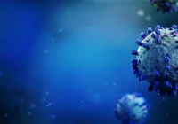 Prof. Szuster-Ciesielska: gwałtowny wzrost infekcji w Chinach napędza Omikron BF.7 - zdjęcie główne