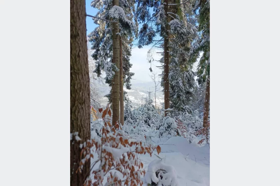 Przypomnieli wojenną historię miejsca zrzutów - zdjęcie 13