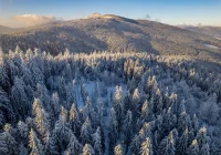 Co z tą zimą na Święta? - zdjęcie główne
