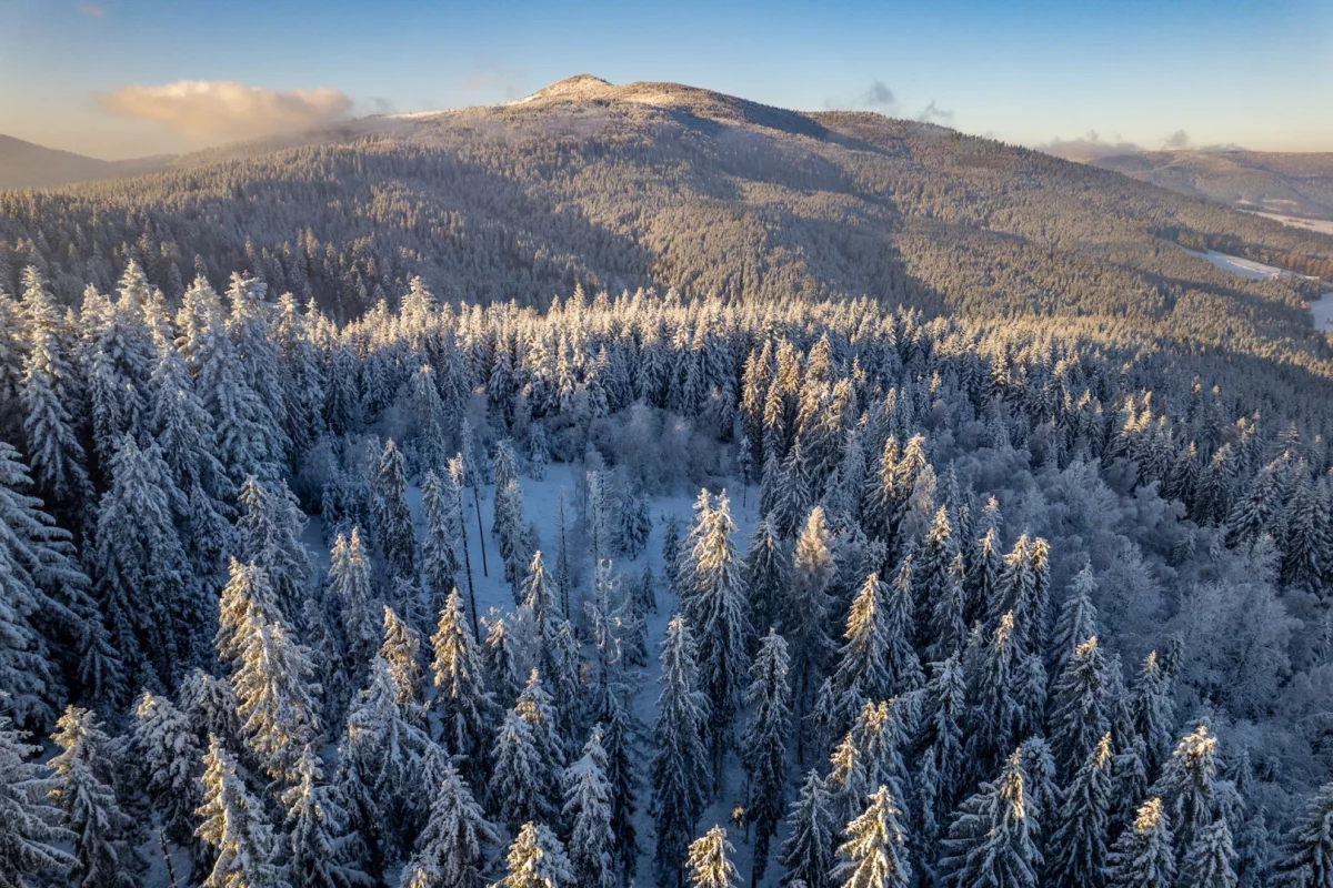 Co z tą zimą na Święta?