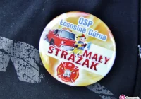 Akcja OSP Łososina Górna - zdjęcie główne