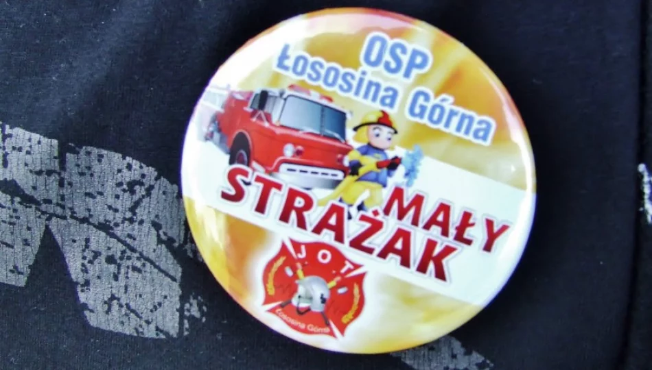 Akcja OSP Łososina Górna - zdjęcie 1