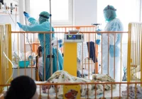 Obłożenie łóżek dla dzieci w szpitalach waha się od 75 proc. do 80 proc. - zdjęcie główne