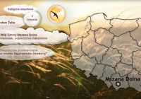 "Medialny" przedświąteczny weekend - zdjęcie główne