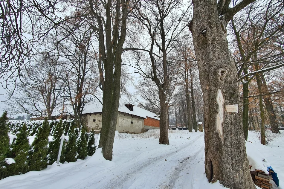 Kiedy zdegradowane budynki podworskie doczekają się odnowienia? - zdjęcie 2