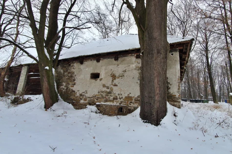 Kiedy zdegradowane budynki podworskie doczekają się odnowienia? - zdjęcie 6