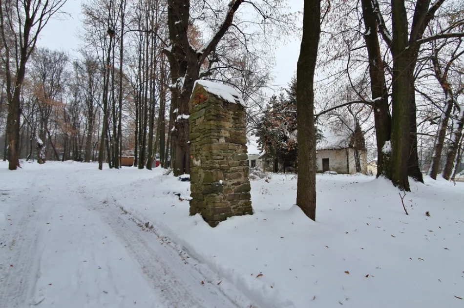 Kiedy zdegradowane budynki podworskie doczekają się odnowienia? - zdjęcie 10