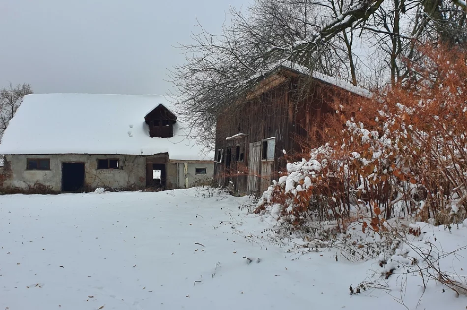 Kiedy zdegradowane budynki podworskie doczekają się odnowienia? - zdjęcie 14