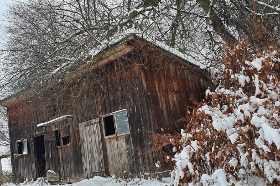 Kiedy zdegradowane budynki podworskie doczekają się odnowienia? - zdjęcie 15
