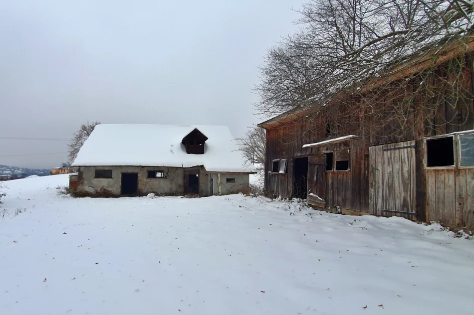 Kiedy zdegradowane budynki podworskie doczekają się odnowienia? - zdjęcie 17