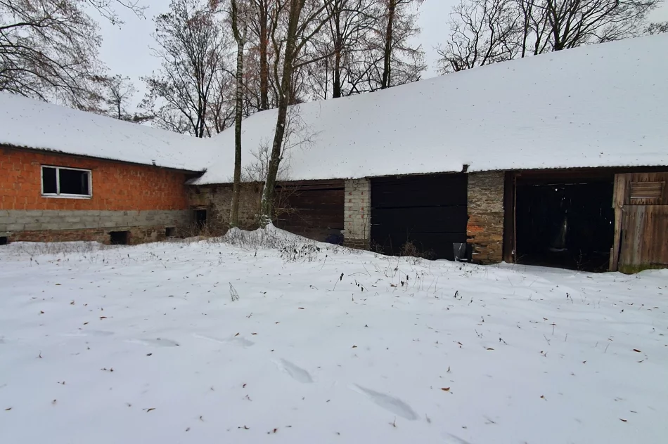 Kiedy zdegradowane budynki podworskie doczekają się odnowienia? - zdjęcie 18