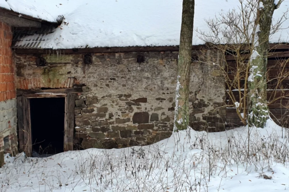 Kiedy zdegradowane budynki podworskie doczekają się odnowienia? - zdjęcie 19