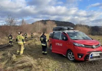 Szczęśliwy finał poszukiwań - zdjęcie główne