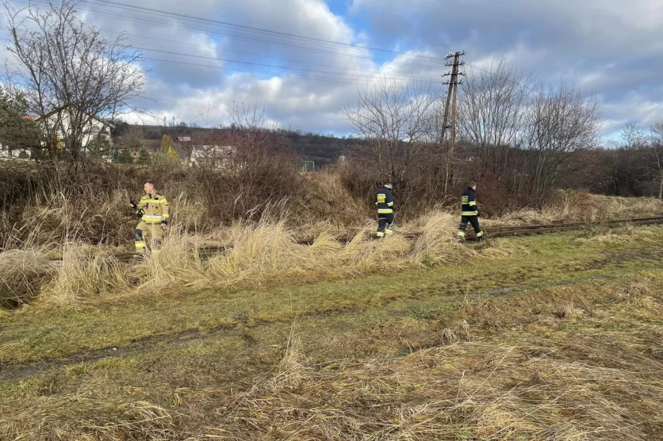 Szczęśliwy finał poszukiwań - zdjęcie 5