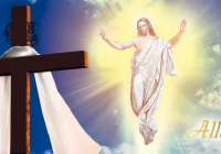 Wesołych Świat Wielkanocnych - zdjęcie główne