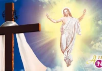 Wesołych Świat Wielkanocnych - zdjęcie główne