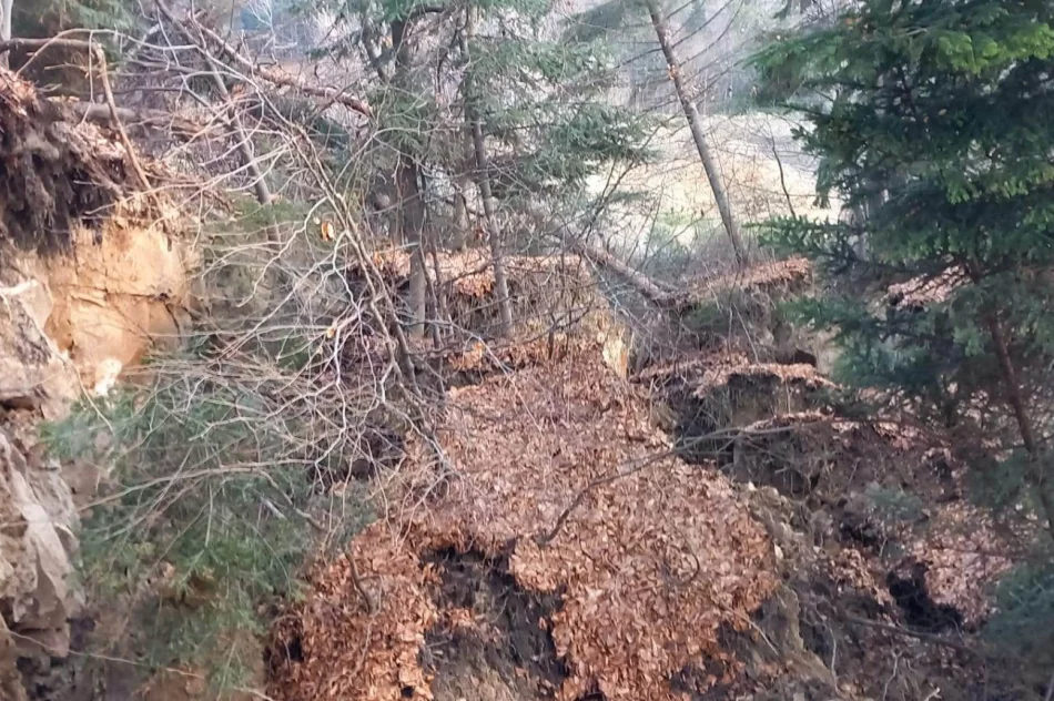 Na powierzchni hektara uaktywniło się osuwisko - zdjęcie 2