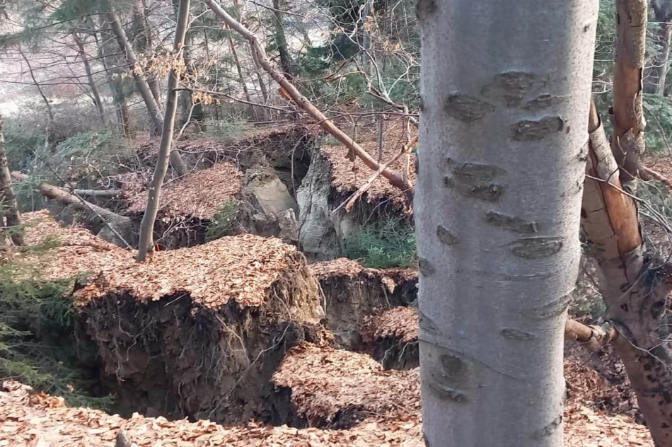 Na powierzchni hektara uaktywniło się osuwisko - zdjęcie 3