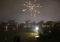 Lekarz weterynarii: huki i wystrzały to dla zwierząt olbrzymi stres - zdjęcie główne