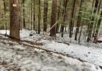 Komunikat turystyczny - uwaga na szlakach - zdjęcie główne