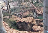 "Nie zanosi się, by to miała być oznaka czegoś poważniejszego" - zdjęcie główne