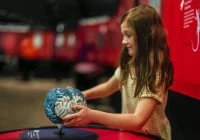 Zidentyfikowano obszary mózgu odpowiedzialne za inteligencję wrodzoną - zdjęcie główne