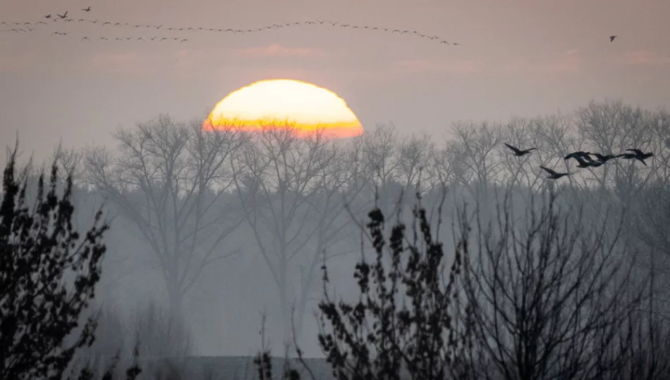 Rekordowo ciepłe pierwsze dni nowego roku. W nocy było +17,5 st.  - zdjęcie 1